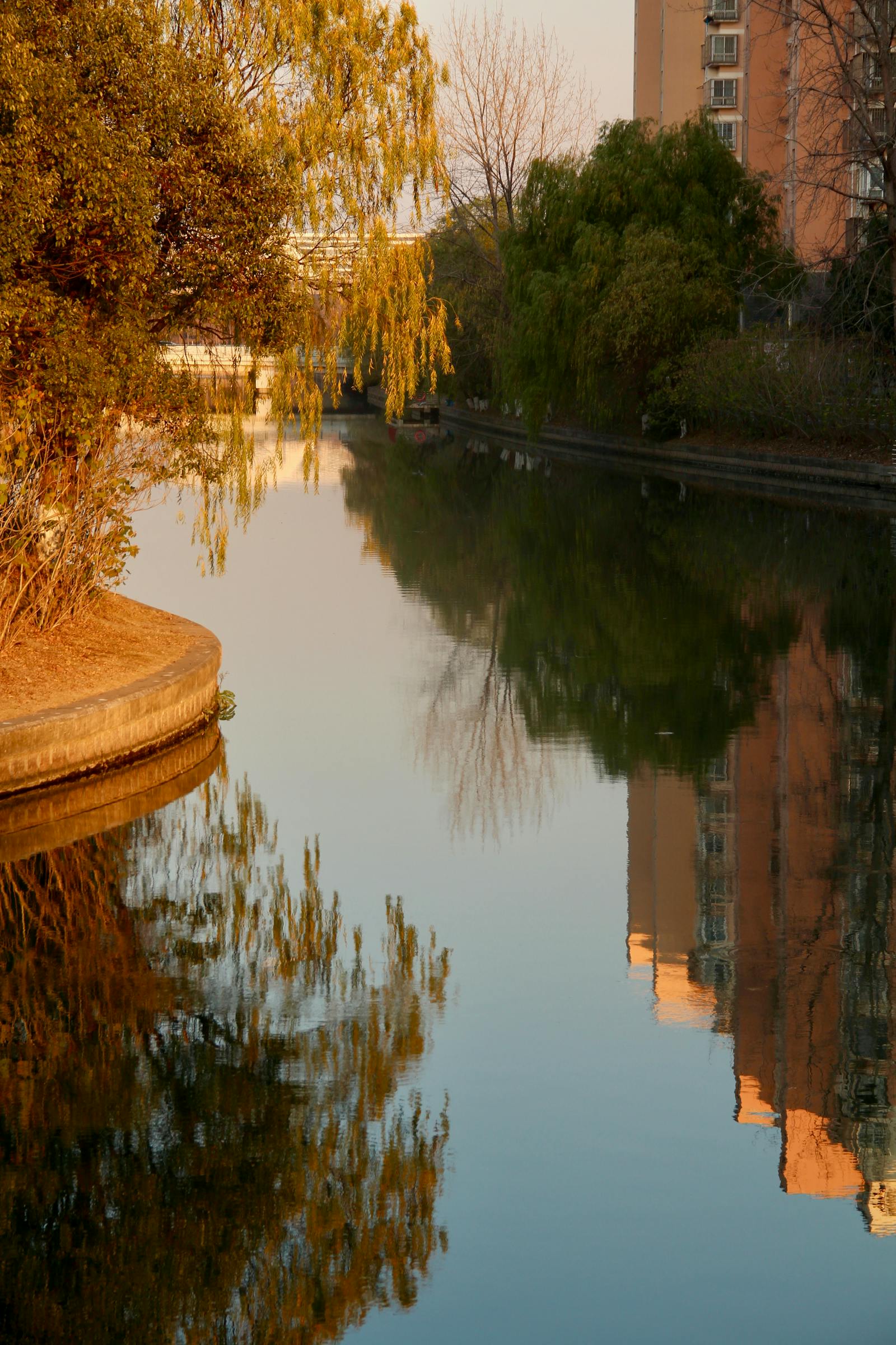 Reflets dorés sur un canal au coucher de soleil, saules en bordure